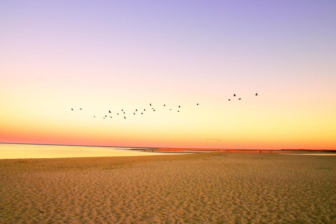Oyster Beach Bungalow チャタム エクステリア 写真